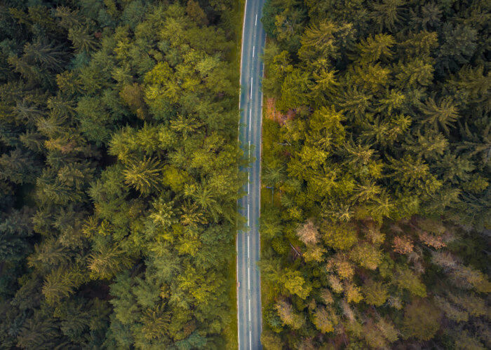 view from above of road through trees featured-700x500